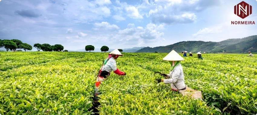 iso certification for agriculture food industry