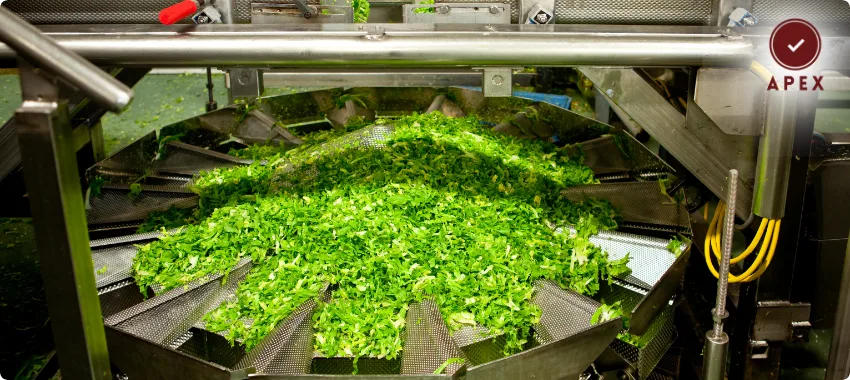 HALAL Certification in Al-Ain