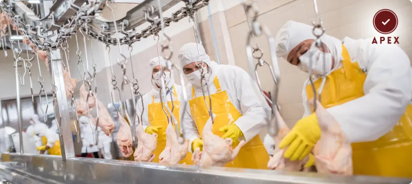 Halal Certification in UAE