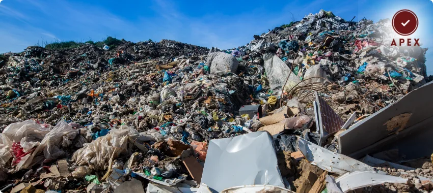 ISO 14001 Certifications in Dubai